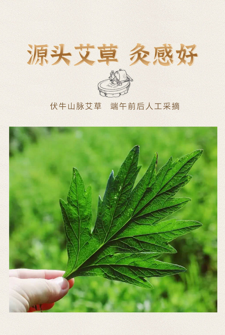 Stone-ground moxa sticks, moxa columns, pure moxa fluff strips, genuine household three-year-old moxa moxibustion strips, hand-smoked strips for health care pic 2