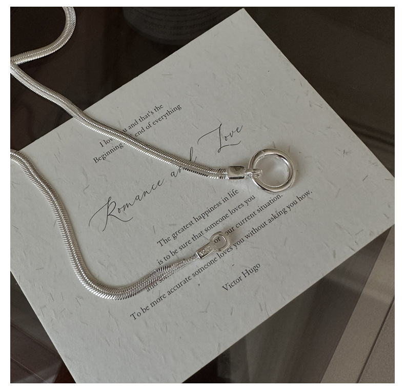 S925 sterling silver Korean version niche design snake bone necklace, Korean style simple and retro collarbone chain wholesale pic 6