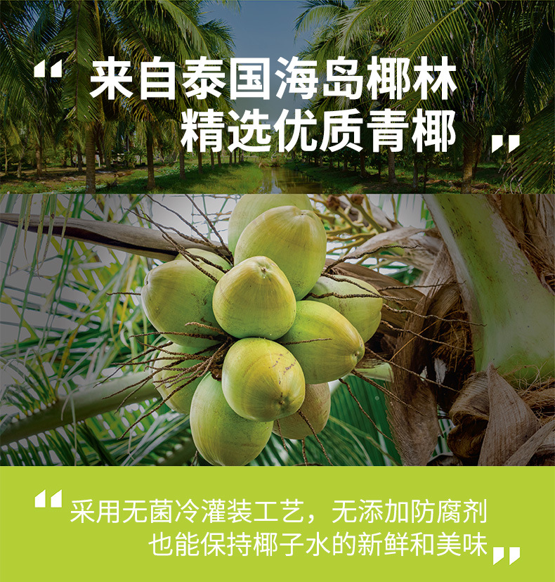 if泰进口椰子水350ml瓶装整箱电解质椰青水饮料果汁详情3