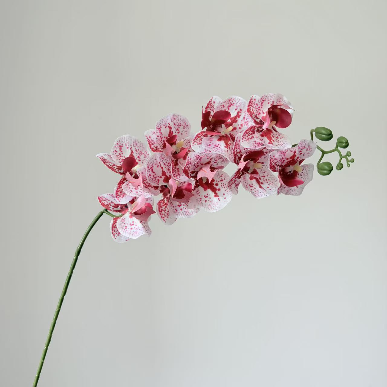 9头蝴蝶兰仿真花手感高级感逼真假花兰花艺场景布置酒店婚庆用花详情14