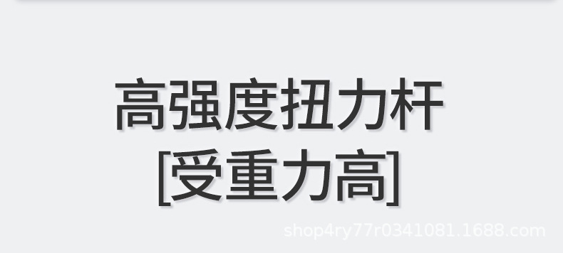 活力板滑板蛇板儿童游龙板二轮成人滑板车铝合金一件代发滑板车详情14