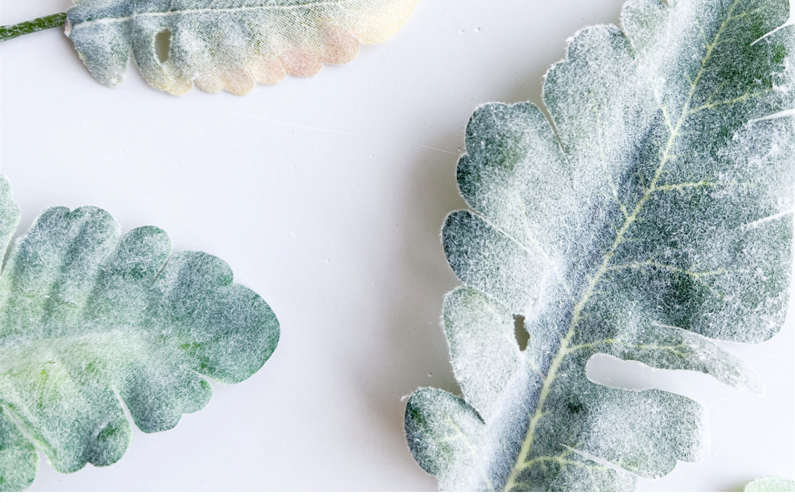 欧式银叶菊兔耳叶叶片配件情人节玫瑰假花餐桌家居绿植软装宠物园艺干花详情2