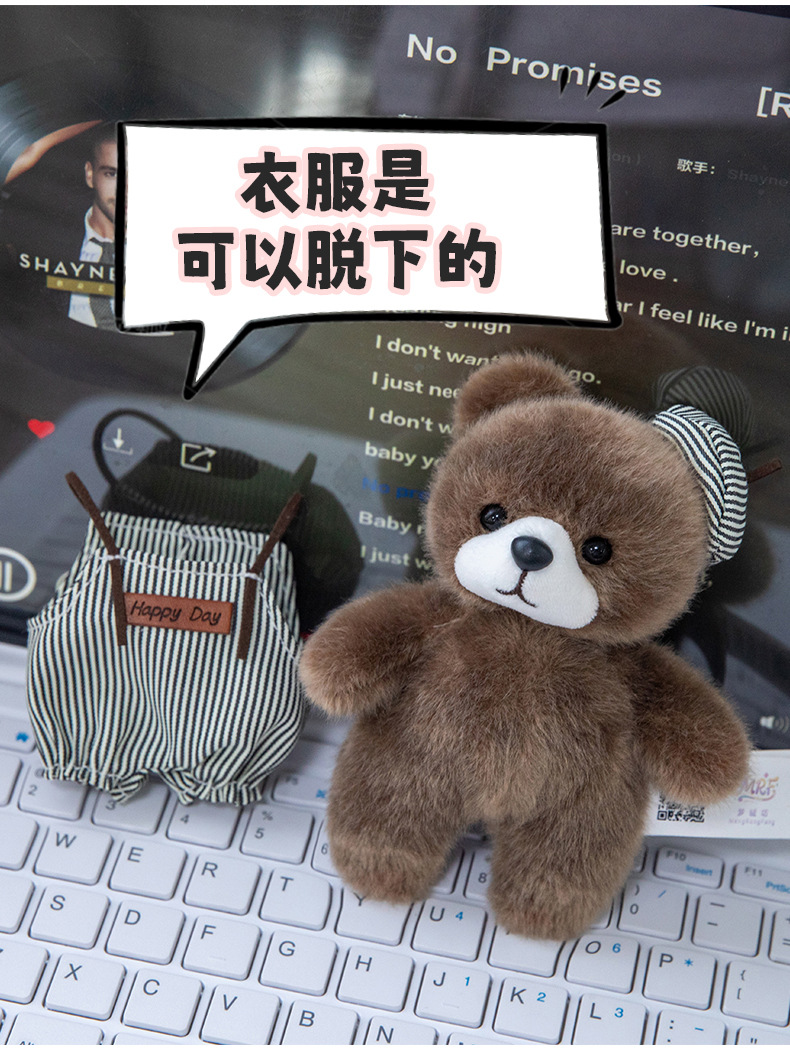 新款穿衣小熊画家绘画毛绒玩具玩偶公仔挂件娃娃机兑换批发礼物详情18