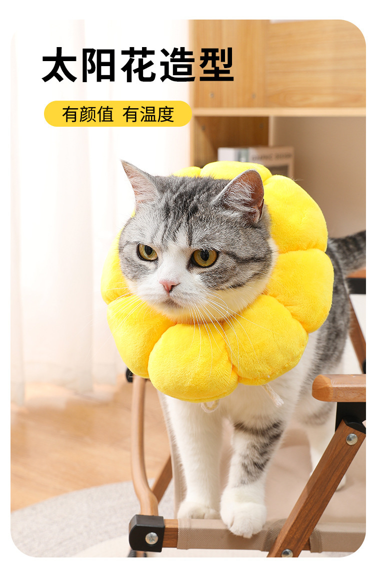 太阳花伊丽莎白圈 宠物项圈猫咪伊丽莎白项圈狗项圈绝育防舔头套详情16