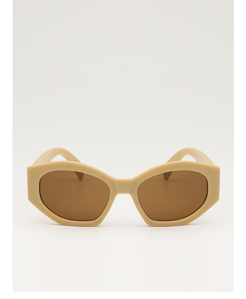 Retro triumph snow sunglasses for women, a new type of high-end oval angular sunglasses for sun protection and shading pic 16