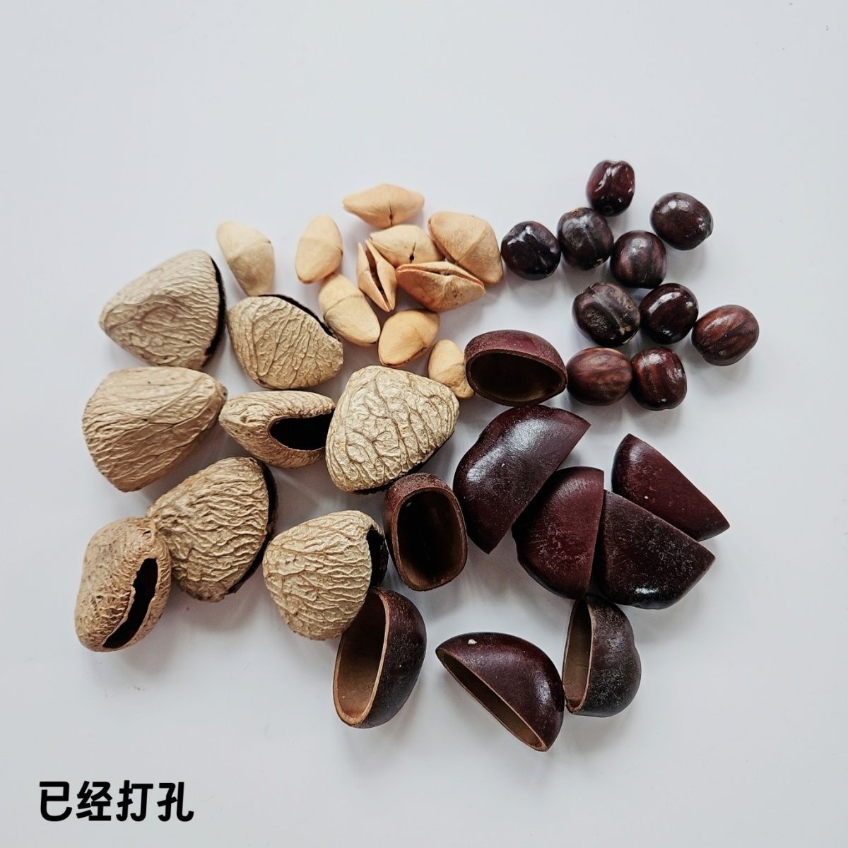 diy plant fruit shell material, handcrafted fruit shell hanging accessories, wind chime accessories, imported from Indonesia, niche pic 10