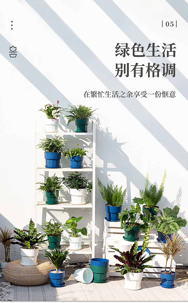 国潮北欧简约风绿萝多肉花盆塑料树脂加厚耐摔厂家直销特价桌面花盆详情8