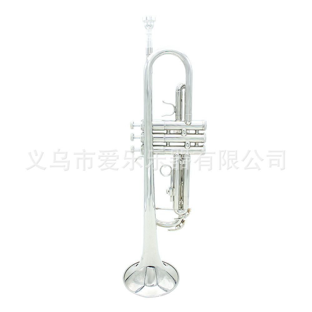 Student and adult performance of Trumpet, a brass trumpet in B-flat pic 8