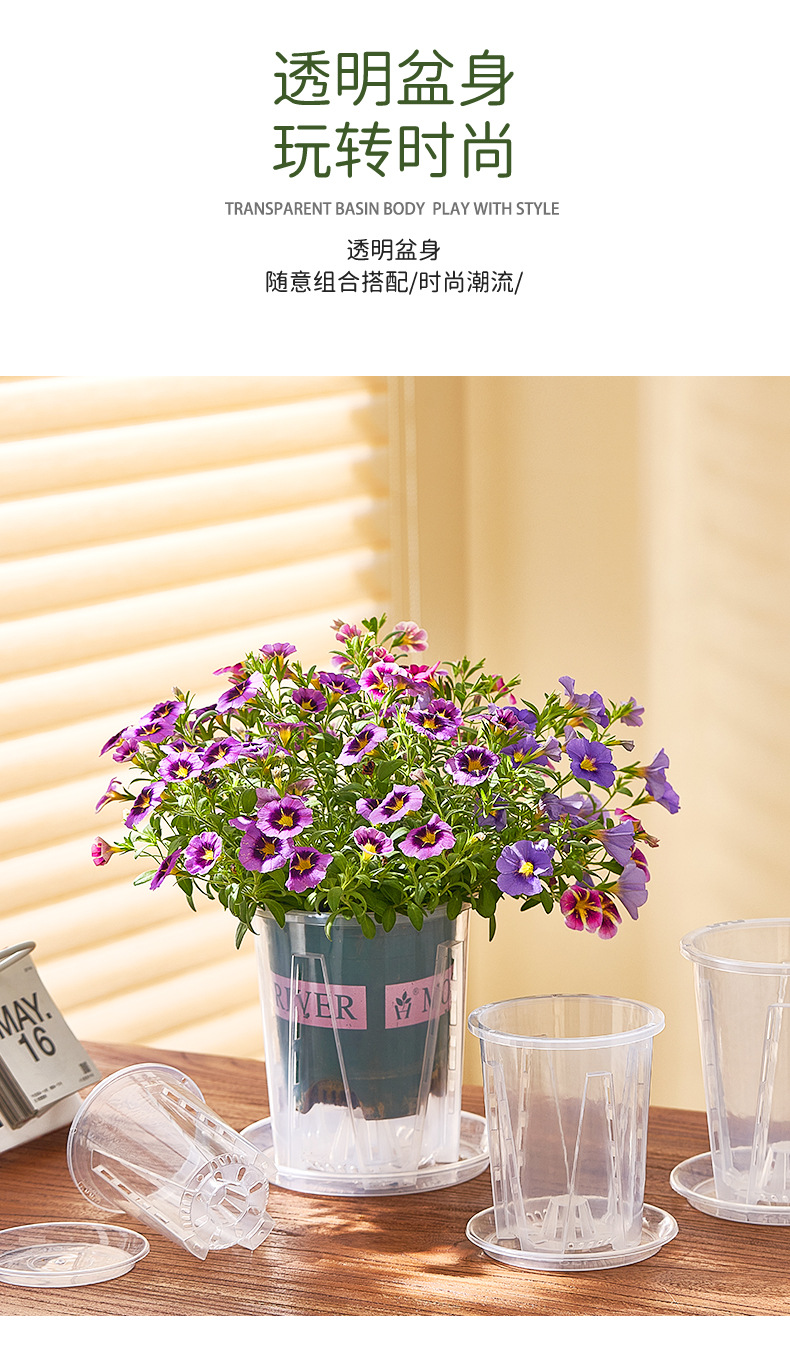 新款蝴蝶兰花盆控根盆透明青山盆文心兰盆透明塑料透气花盆兰花盆详情3