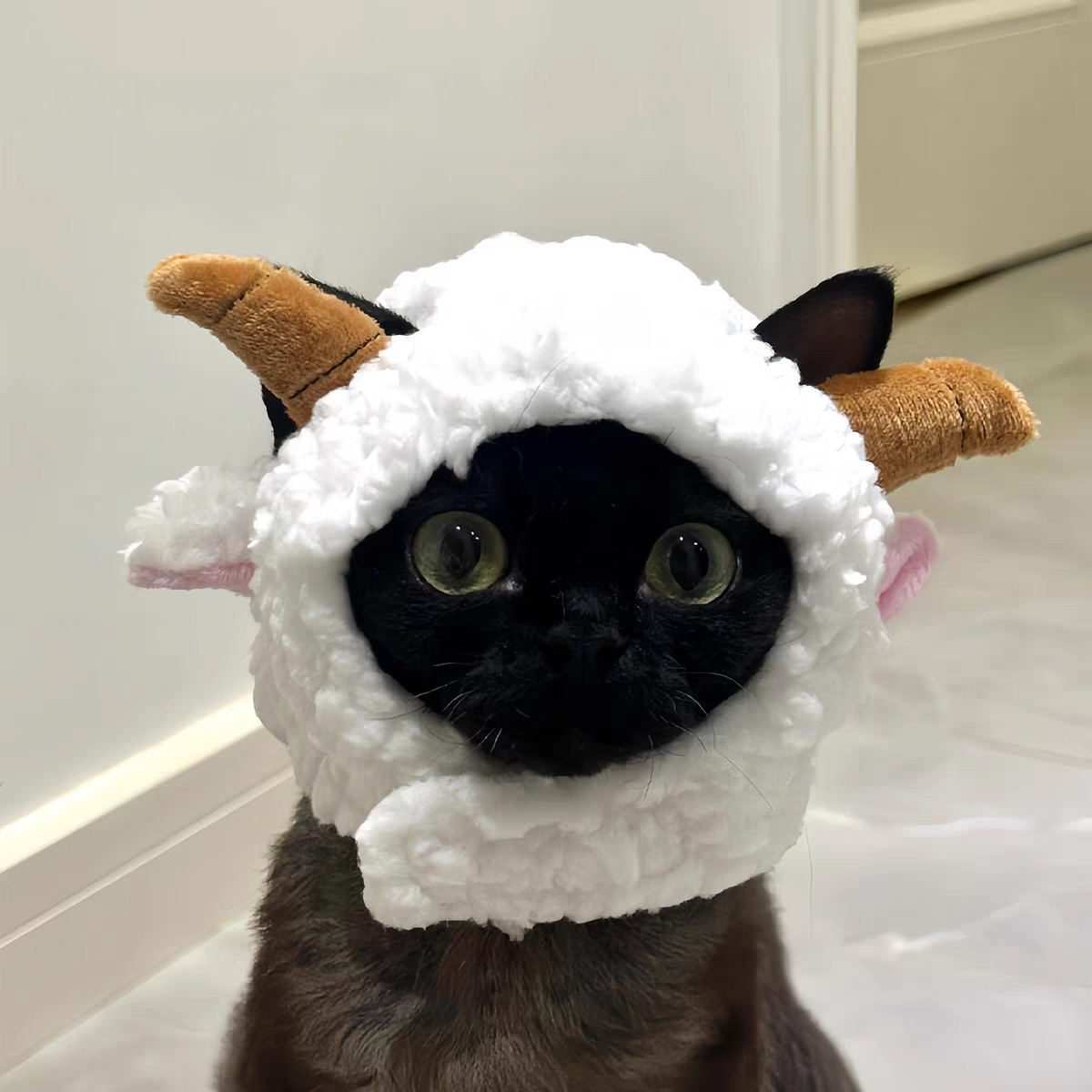 跨境宠物帽子装饰头套毛绒变装小狗狗猫咪比熊可爱拍照头饰搞怪详情5