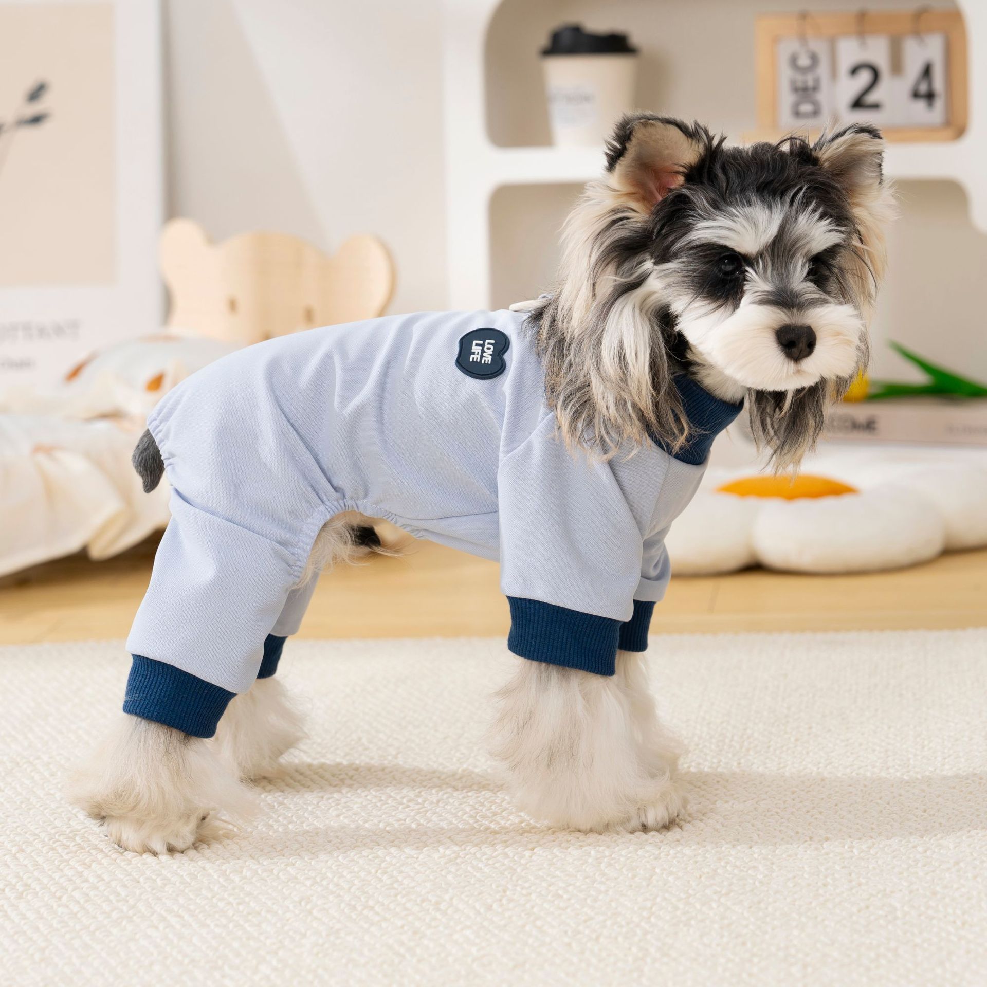 宠物狗狗春秋装居家休闲四脚衣比熊泰迪雪纳瑞可牵引薄款狗衣服详情17