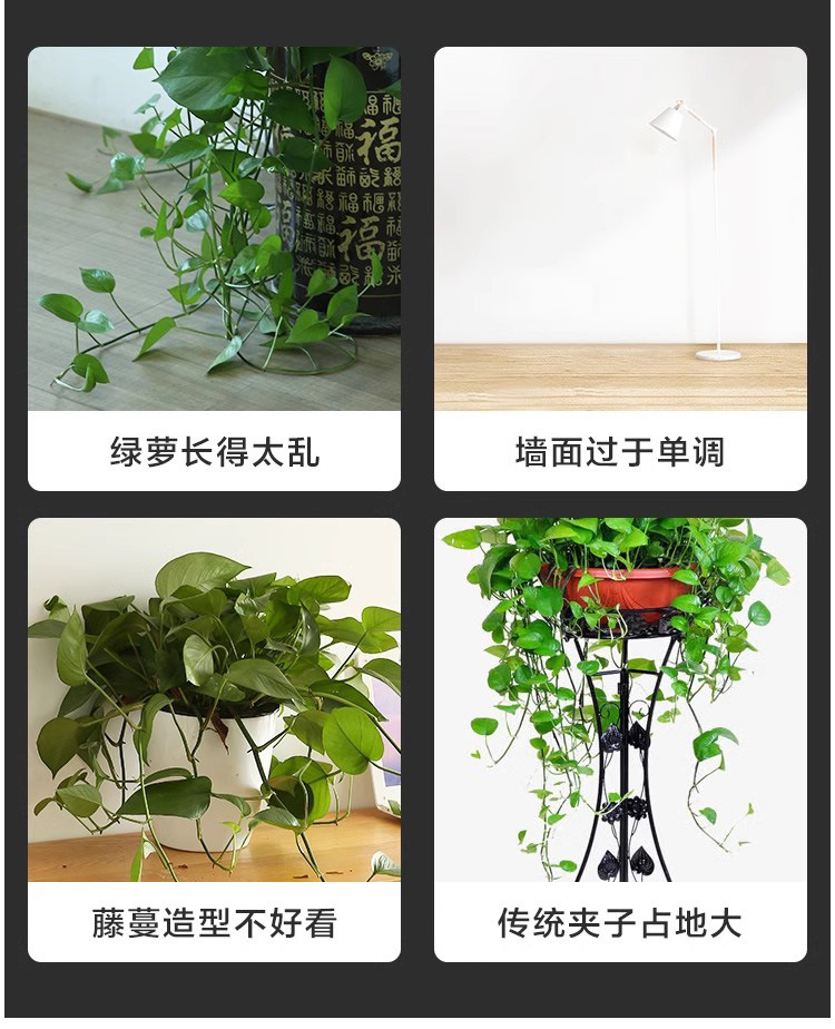 绿萝固定器藤蔓植物绿植墙上攀爬器挂钩电线固定扣爬藤造型固定夹详情2