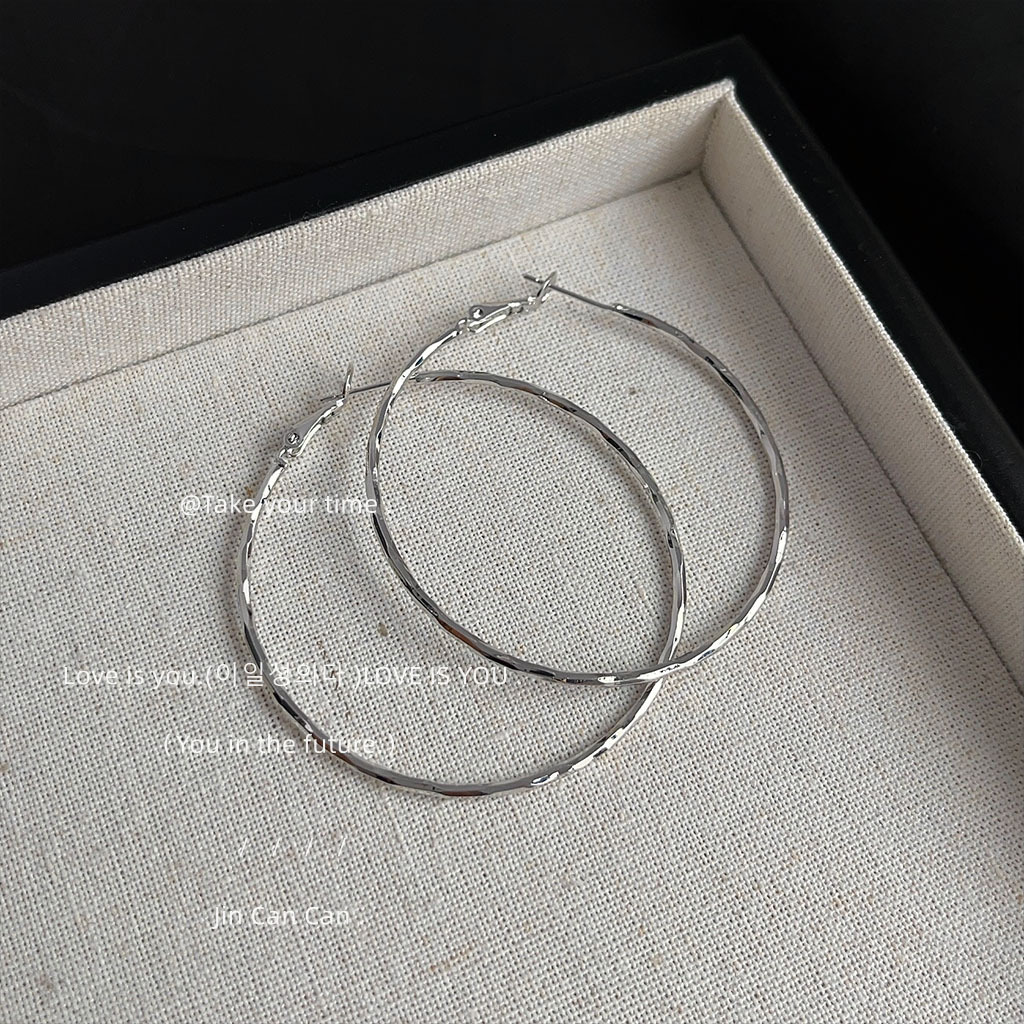 Exaggerated personality, ins, high-end, sweet and cool, versatile, large round ear rings, simple and elegant, new earrings from the factory pic 9