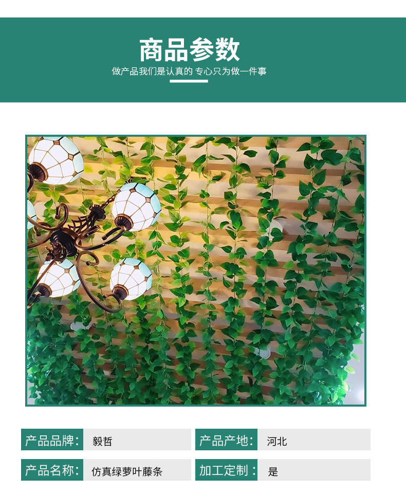仿真藤条假树叶装饰藤蔓爬山虎绿植吊顶过胶花藤葡萄叶绿萝常春藤详情6