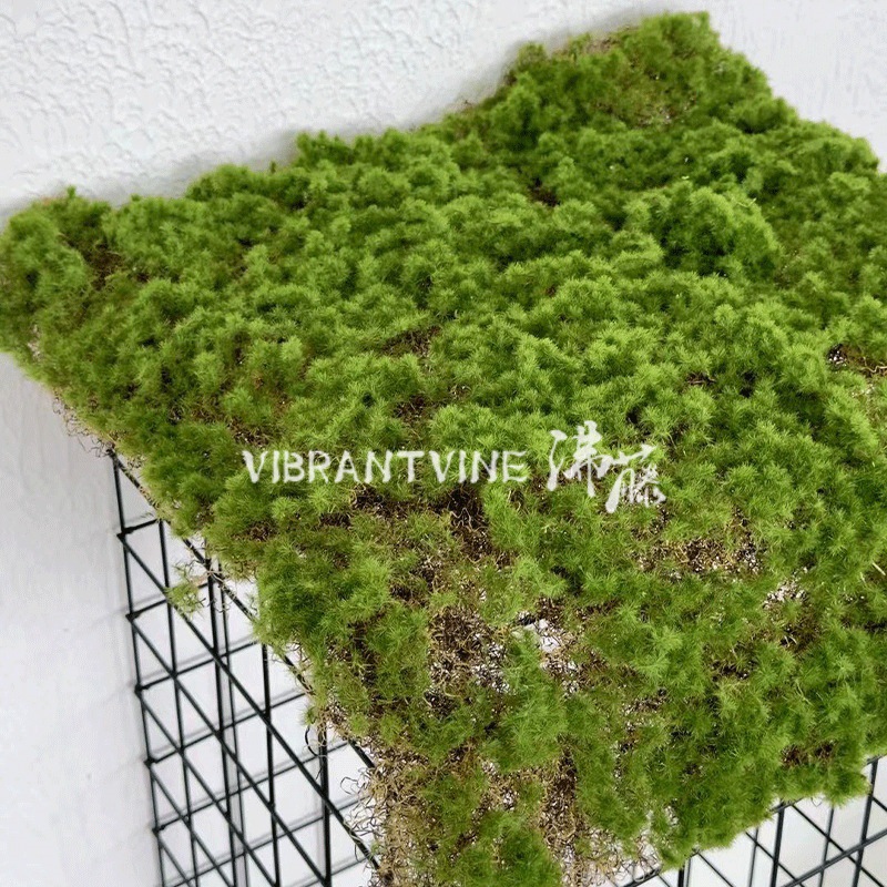 仿真绿植青苔藓皮青苔坪橱窗软装苔藓绿地墙面植物墙装饰人造草坪详情1