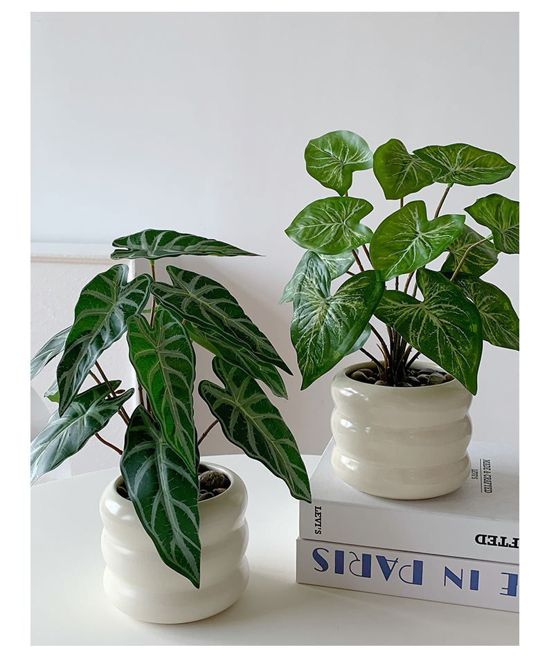 仿真绿植假花摆件龟背叶小盆栽办公桌面室客厅茶几植物摆设装饰品详情13