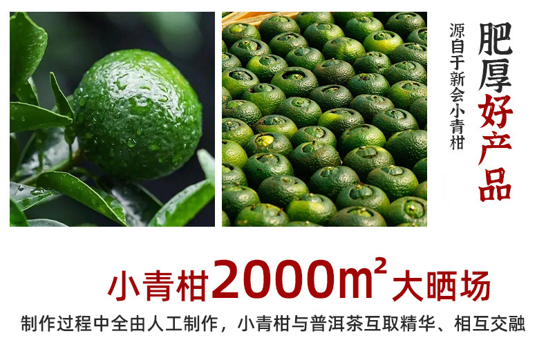 新会小青柑普洱茶天马陈皮普洱茶柑普茶陈皮小青柑散装厂家批发详情36