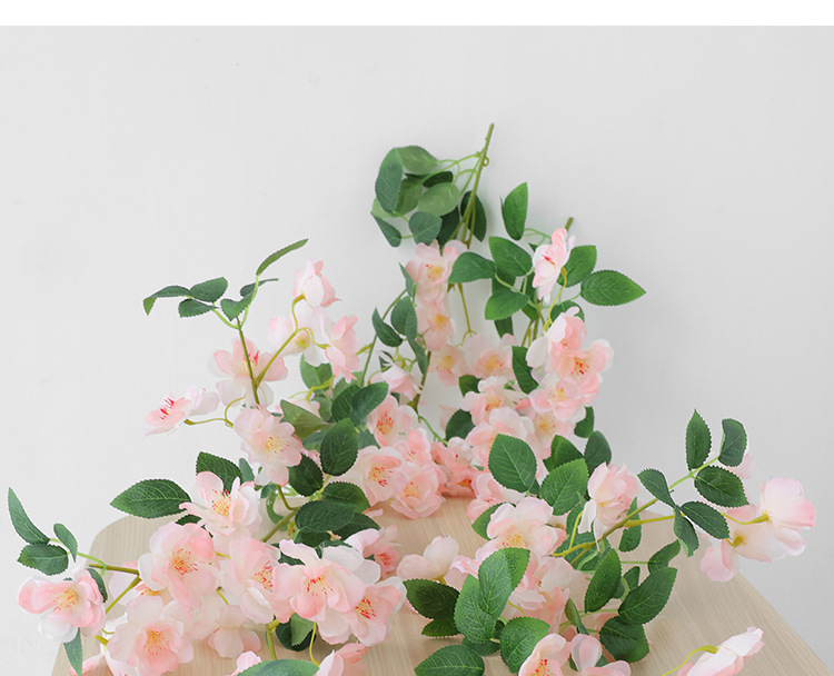 樱花_11.jpg