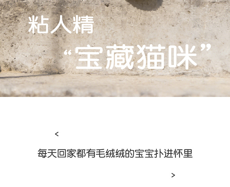 网红德文卷毛猫公仔猫咪玩偶毛绒玩具陪伴安抚娃娃儿童生日礼物女详情6
