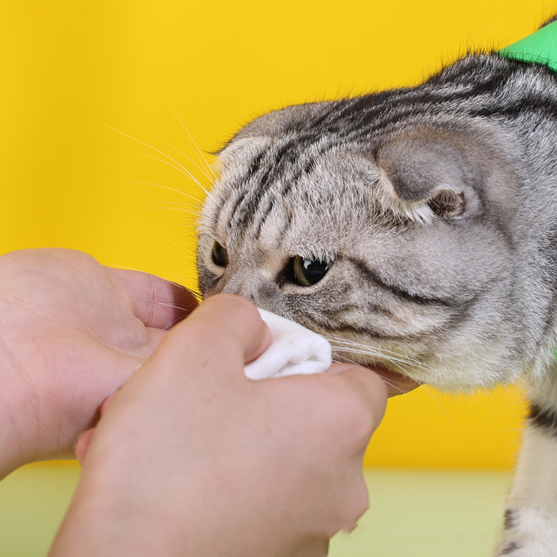 手提猫包防抓咬固定猫咪打针包多用途可折叠便携宠物外出包猫咪包详情21