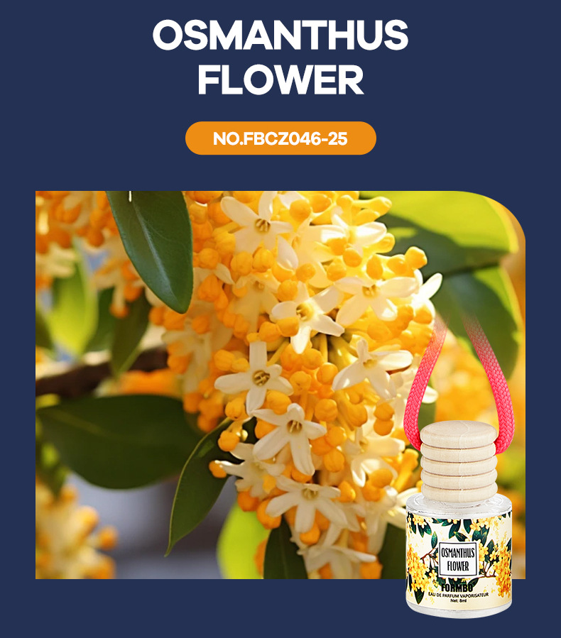 【跨境专供】FORMBO车载香薰清新花香淡香小巧汽车香薰挂件批发详情12