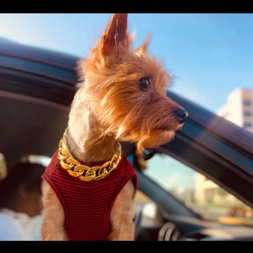 Pet large gold chain dog necklace, cat collar, high-end adjustable pet gold necklace, pet Cuban chain pic 7