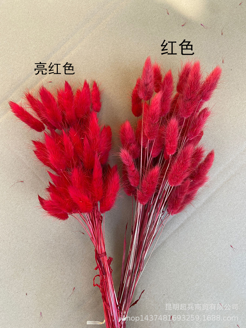 QQ图片20211210155517.jpg