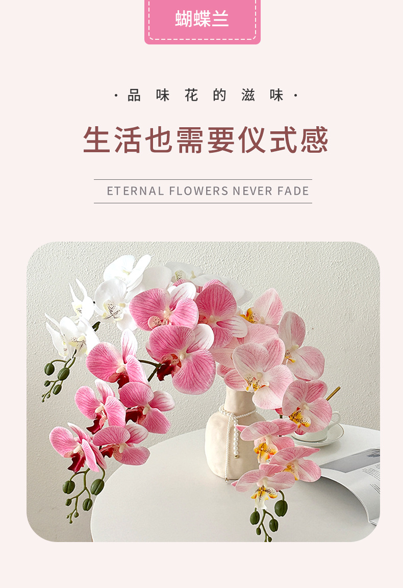 9头胶片蝴蝶兰仿真花轻奢手感假花客厅餐桌玄关摆件婚房布置装饰详情1