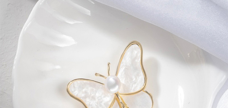 Butterfly brooch, high-end and elegant, high appearance level, cardigan, niche design sense, sweater, suit, versatile, retro brooch wholesale pic 15