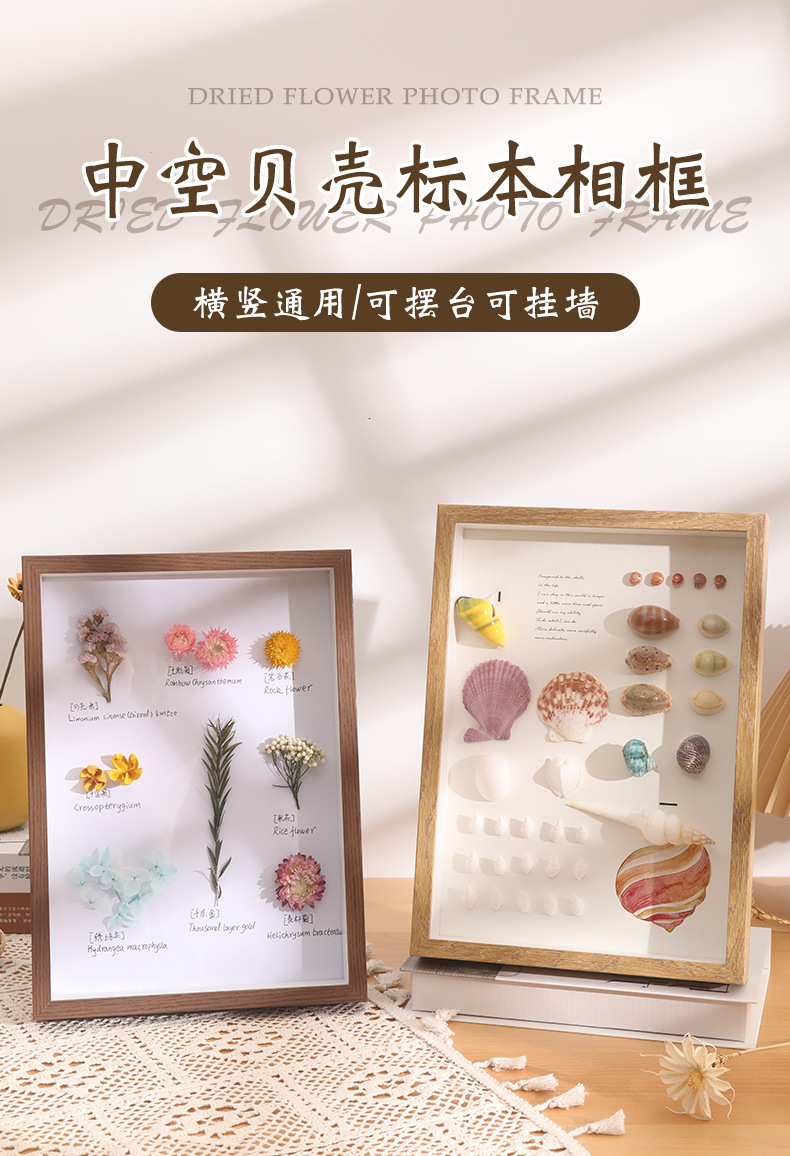 中空立体干花相框空框灯光摆台蝴蝶标本相框DIY贝壳海螺装饰画框详情2