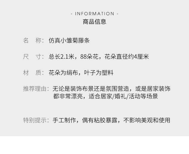 小雏菊---副本_02.jpg
