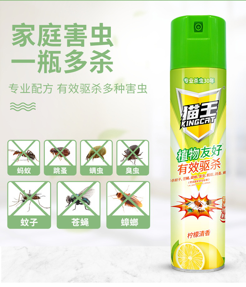 猫王无味杀虫剂600ml苍蝇蟑螂药杀虫喷雾剂家用驱蚊喷雾酒店室内详情6