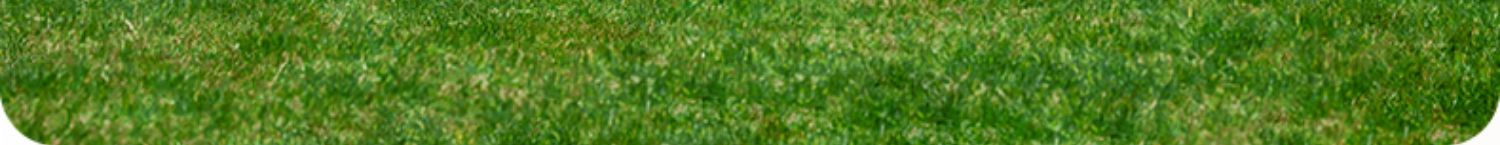 帐篷天幕二合一户外便携式折叠全套露营装备加厚黑胶防晒野外野营详情7