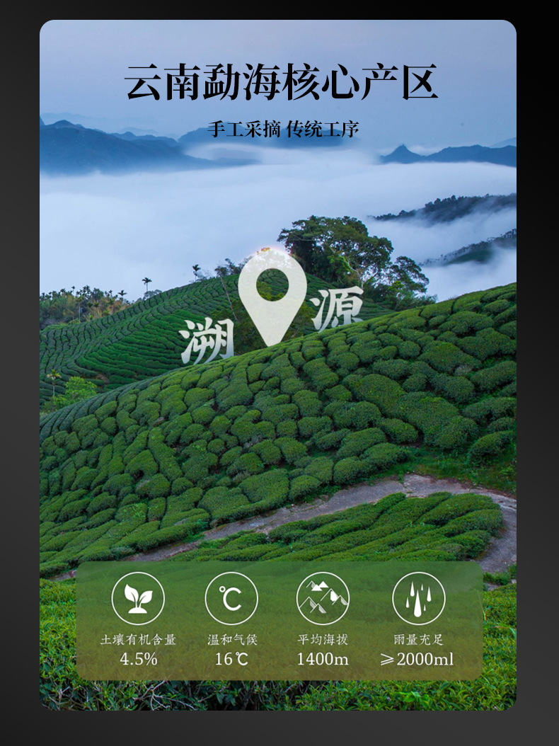 新会小青柑普洱茶天马陈皮普洱茶柑普茶陈皮小青柑散装厂家批发详情27