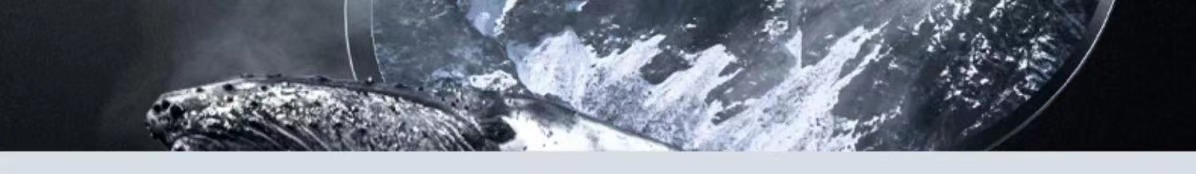 柏林之声蓝牙耳机适用oppo华为小米挂耳式无线音质运动入耳式详情10