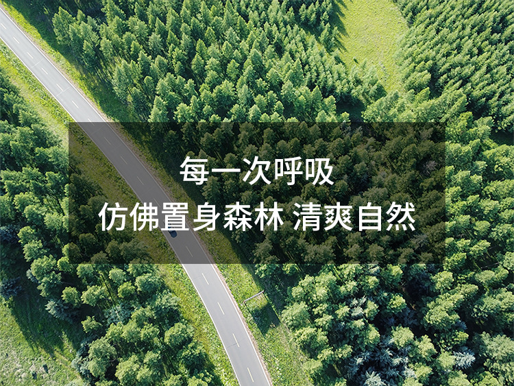 Car perfume, car aromatherapy, air conditioning outlet fan, rotating interior accessories, light-scented creative decorative items pic 9