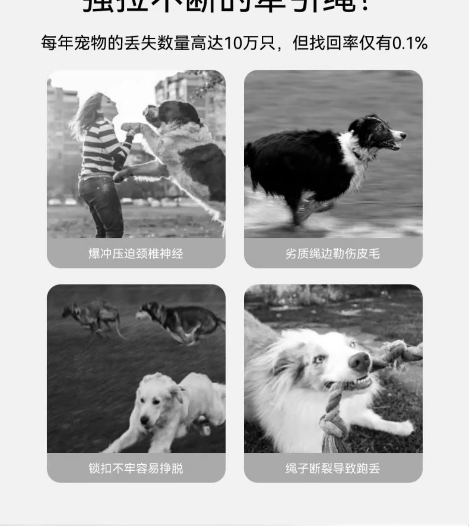 狗狗牵引绳中型大型犬金毛狗绳子拉布拉多狗链子狗脖圈狗项圈p链详情17