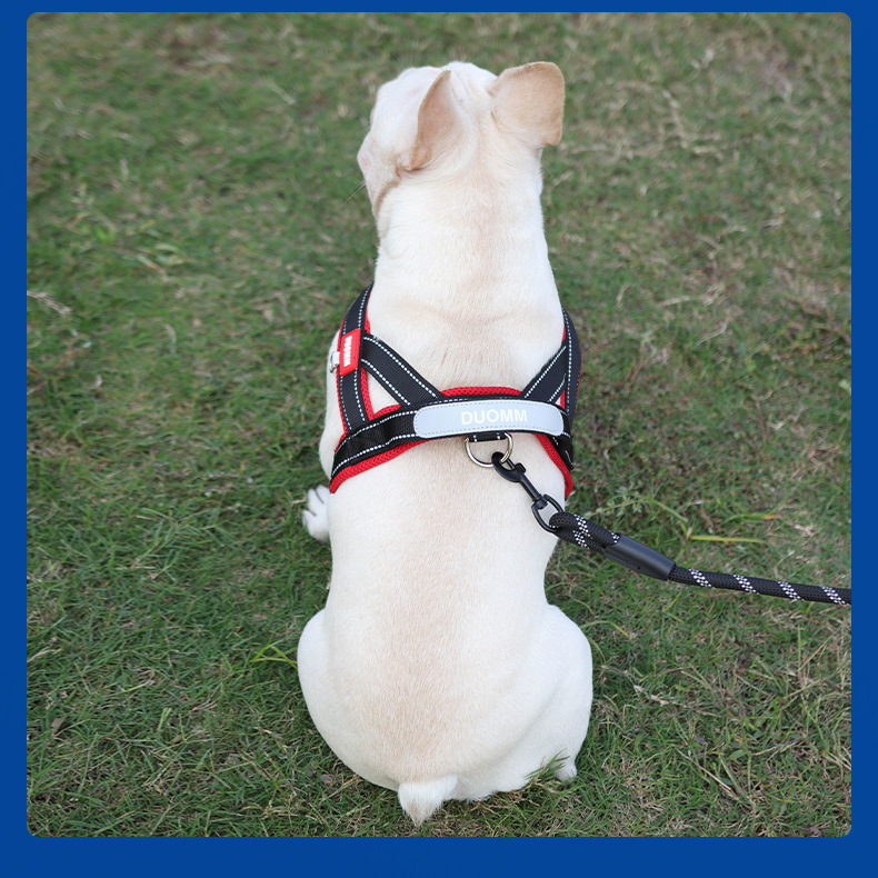 Cuerda de tracción para perros nueva correa de pecho para mascotas cinta ancha para golpear color patchwork no le pecho para perros espalda para caminar al aire libre cuerda para perros pic 16