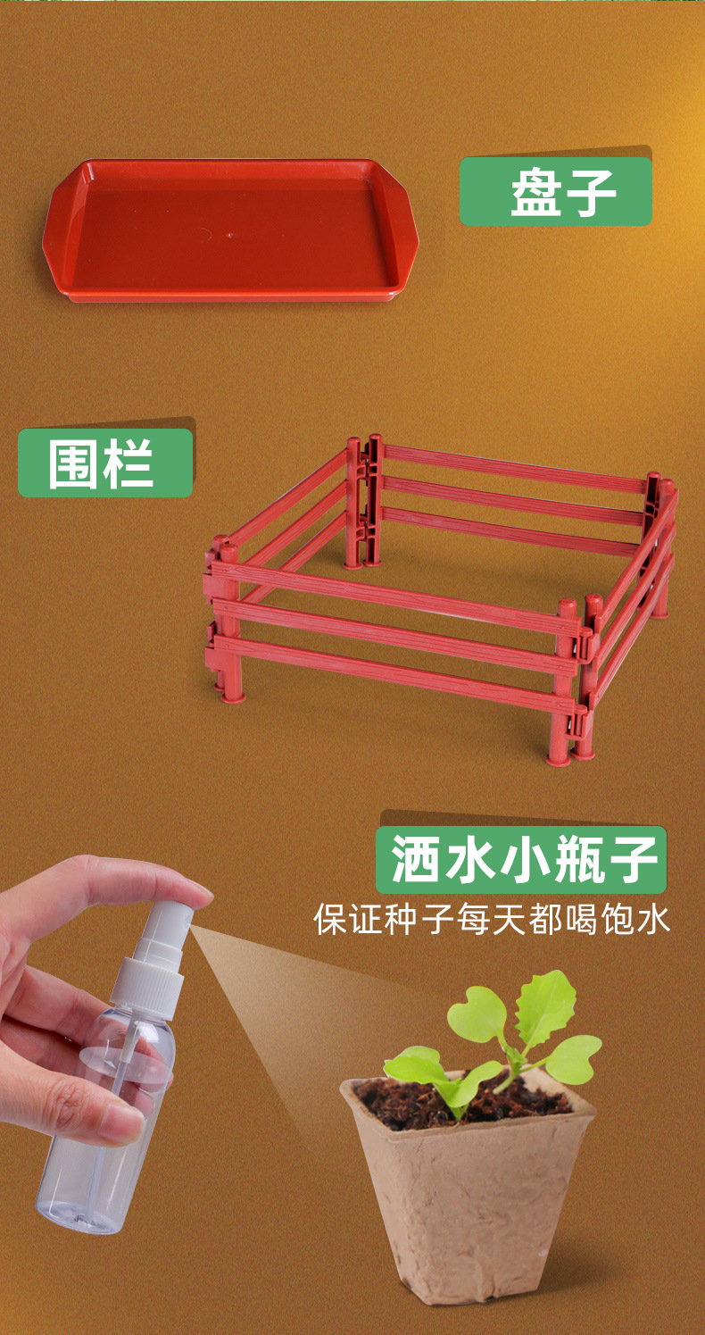 Sunshine Little Vegetable Garden Wooden Science Experiment Set DIY Dragon Boat Planting Science and Technology Small Experiment Toys pic 7