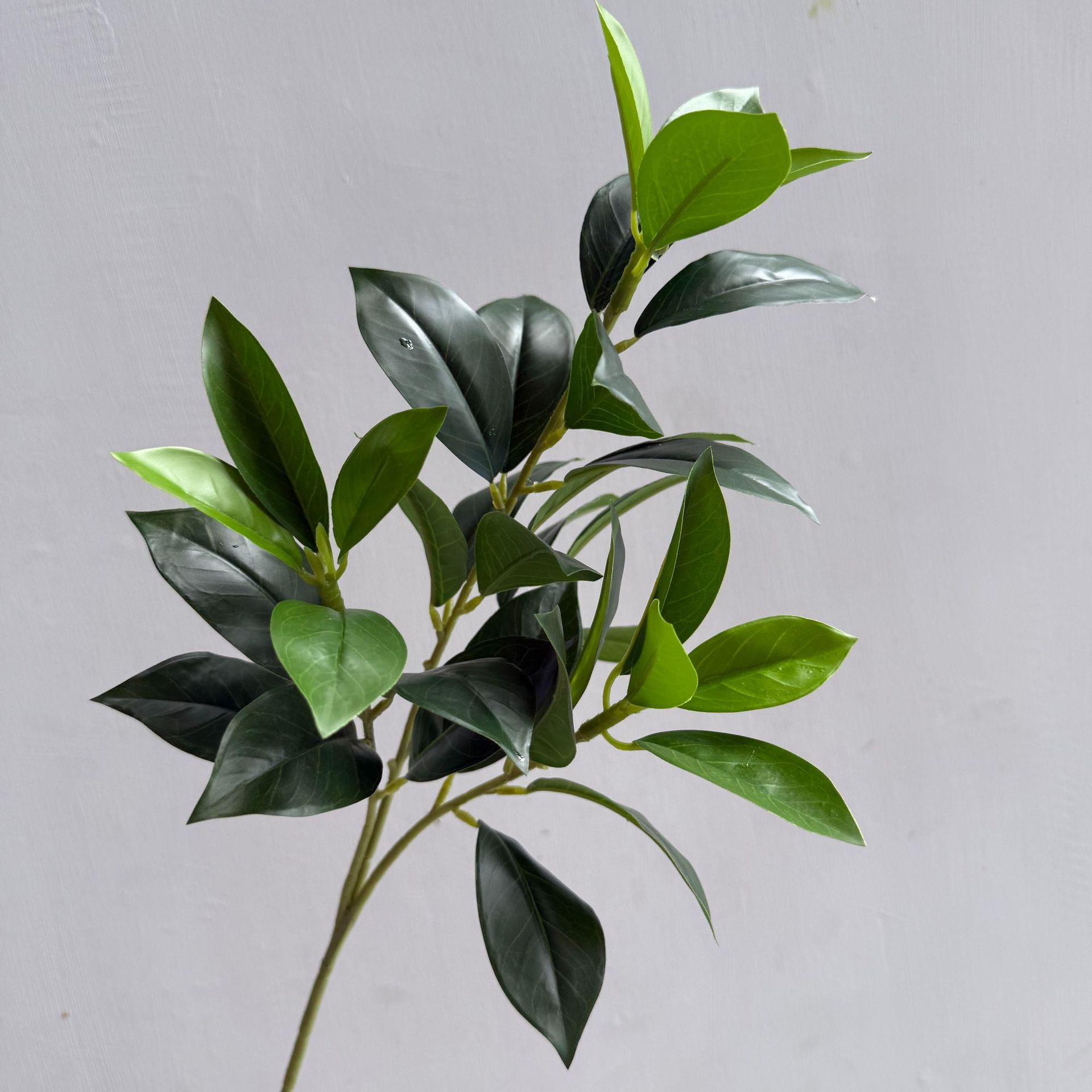 仿真柠檬叶 桔叶 桂花月桂叶 茶树叶 手感叶子植物造景树装饰家居详情2