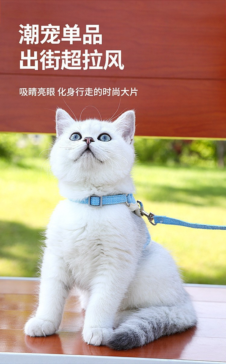 Wholesale of new cross-border pet chest and back strap vest style cat leashes and small and medium-sized dog anti-escape leashes pic 14