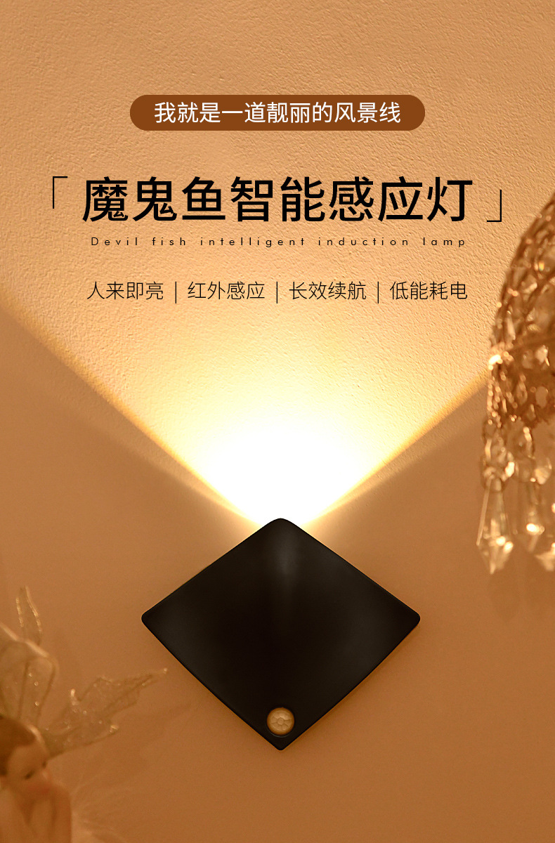跨境人体感应灯卧室楼梯客厅壁灯衣橱柜魔鱼门牌射灯充电池小夜灯详情2