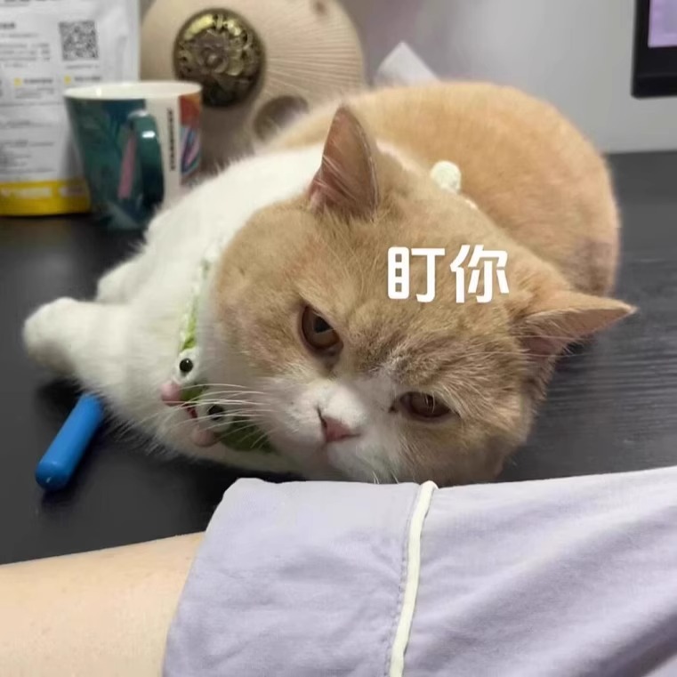 网红猫咪玩具可伸缩挠痒逗猫棒长杆按摩互动自嗨解闷神器猫咪用品详情5