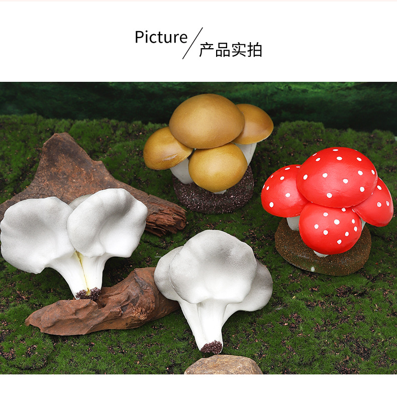 仿真迷您植物香菇平菇菌类套装早教植物静态摆件认知模型套装现货详情7