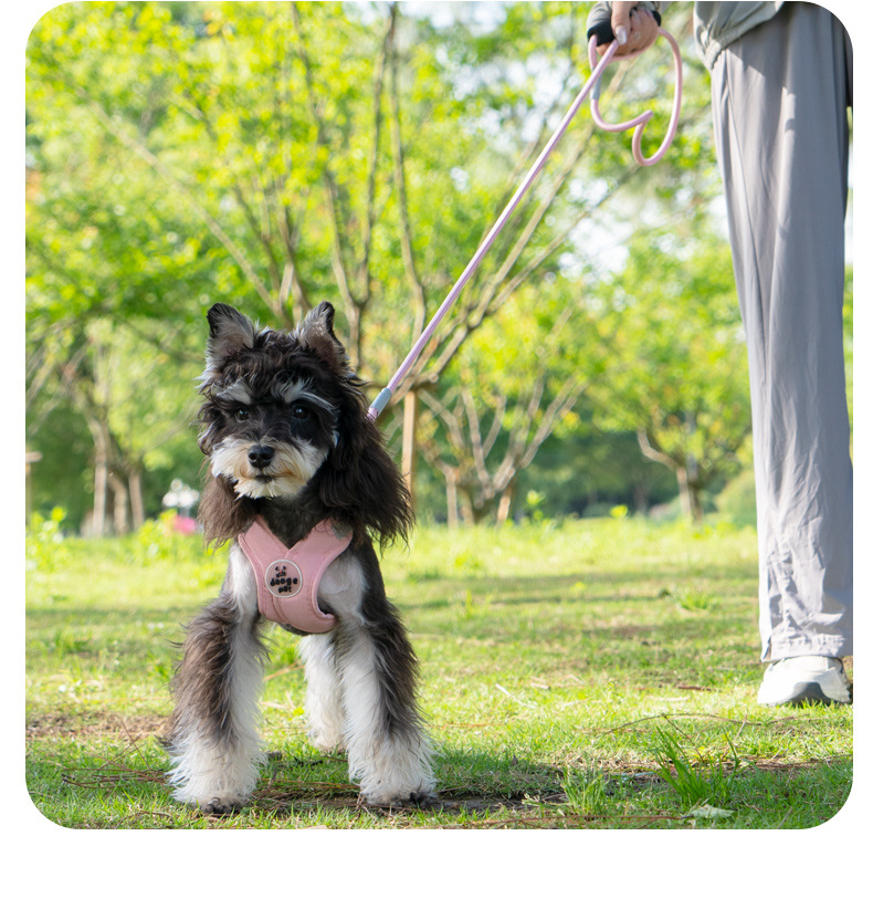 戎咖宠物跨境宠物伸缩牵引绳X型胸背狗狗牵引带雪纳瑞比熊遛狗胸背狗狗用品详情16