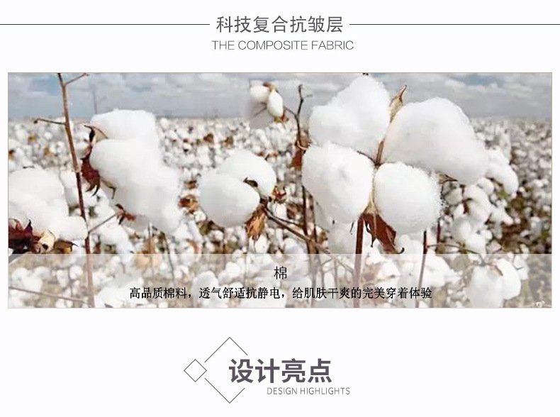 纯色高级感刺绣蜜蜂高端商务纯色棉免烫长袖百搭刺绣蜜蜂男衬衫详情4