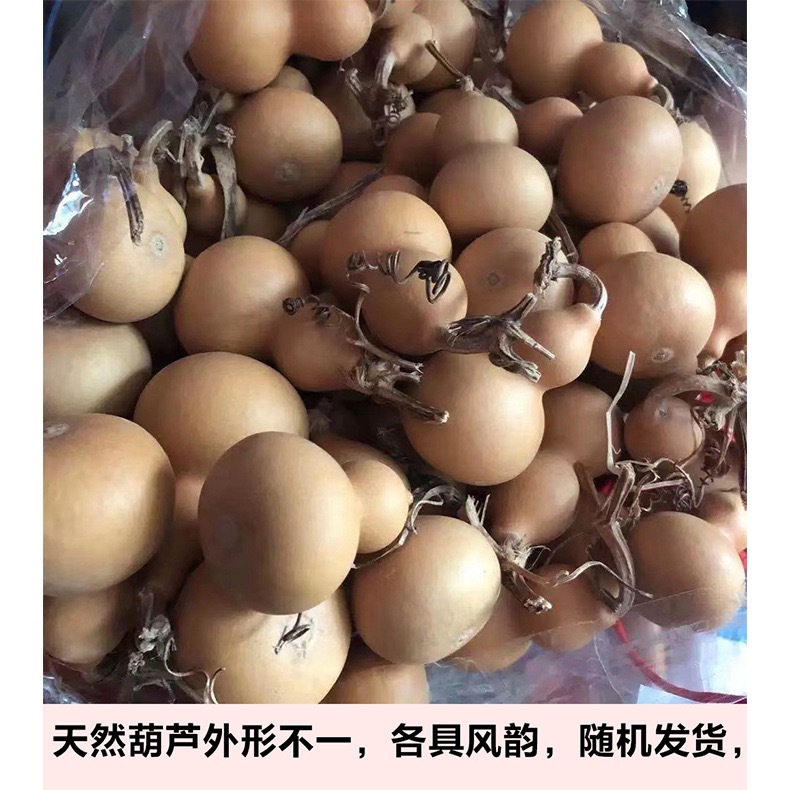 2026 New Natural gourd Fine cultural playthings, hand-twisted small gourd handicrafts, wholesale from American gourd manufacturers pic 1