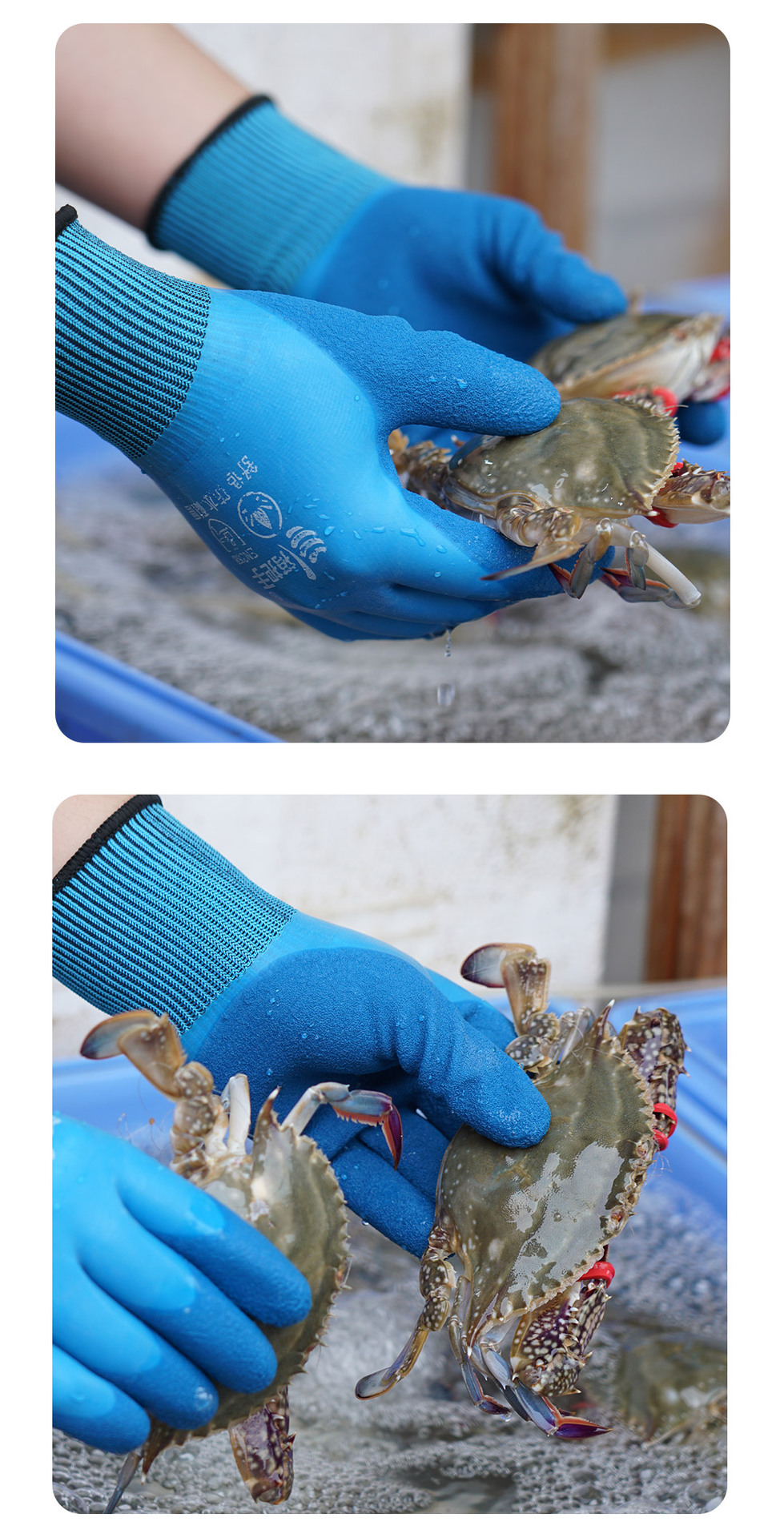 Double-layer waterproof fully immersed rubber working wear-resistant labor protection adult gloves for catching the sea with a hand, wholesale of aquatic products for construction sites pic 11