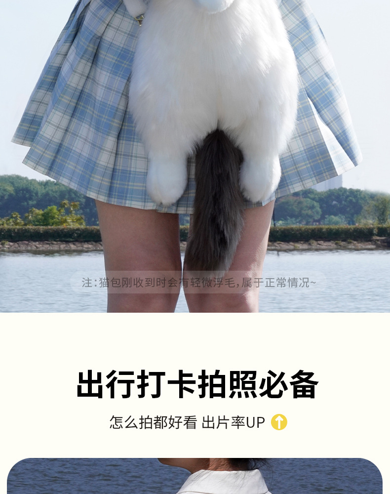 布偶猫咪背包仿真双肩包包玩偶公仔毛绒玩具生日礼物批发三花猫详情5