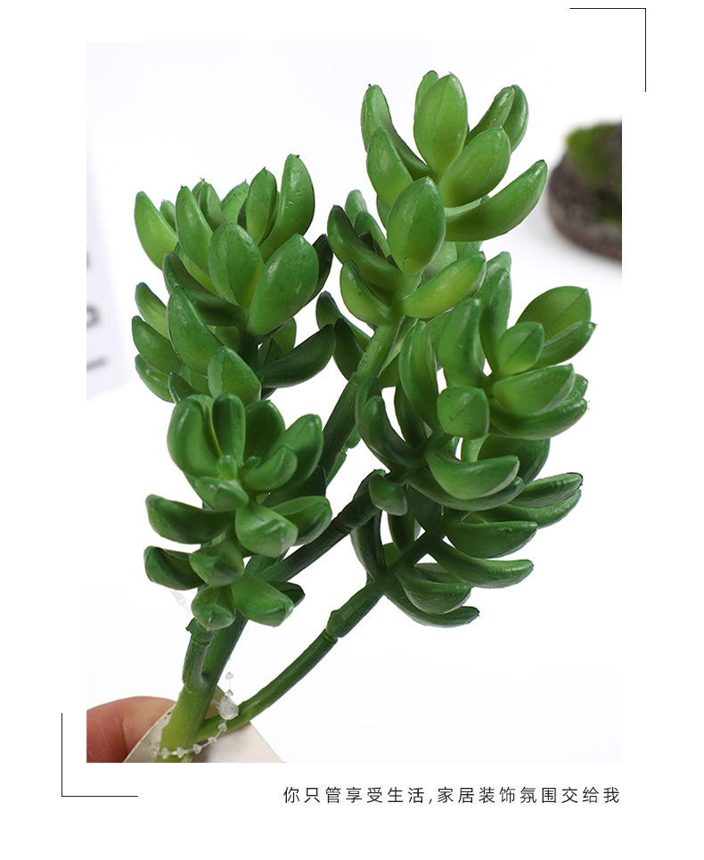 新款仿真塑料多肉手感插花多肉园艺装饰多肉绿植多头组合批发详情12